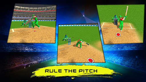 Real World Cricket Tournament  screenshot 3