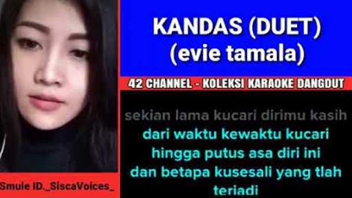 Duet Smule Live screenshot 4