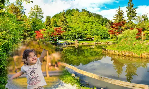 Beautiful Photo Frame Garden Photo Frame app screenshot 13