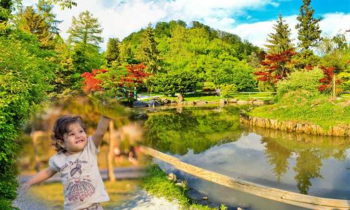 Beautiful Photo Frame Garden Photo Frame app screenshot 13