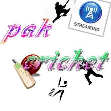 pak cricket screenshot 1