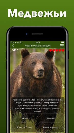 Животные - Все звери и птицы в тесте по зоологии! скриншот 4