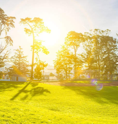 Nature Wallpaper screenshot 13