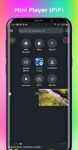 Cast to TV/Chromecast/Roku/TV  screenshot 3
