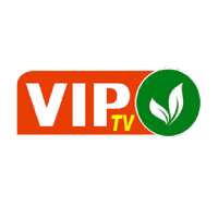 VIP TV
