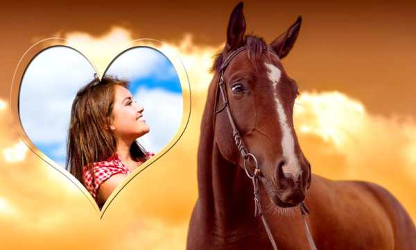 Horse Photo Frames screenshot 7