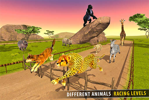 la savane des courses d'animaux 3D screenshot 4