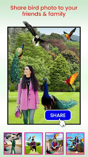 Bird Photo Editor screenshot 8