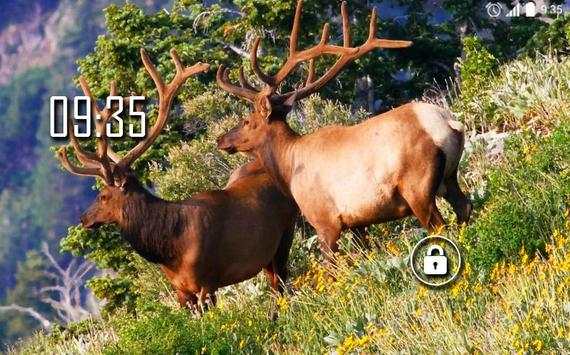 Beautiful Deer Live Wallpaper screenshot 6