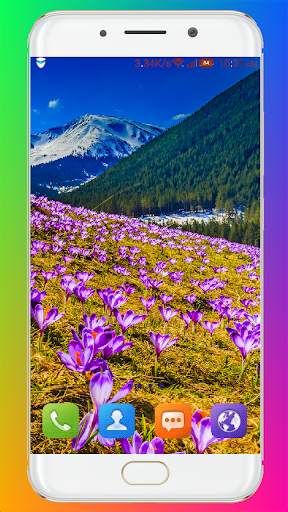 Purple Flower Wallpaper screenshot 12