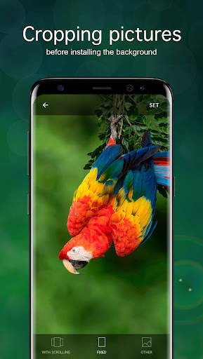 Parrot Wallpapers PRO screenshot 3