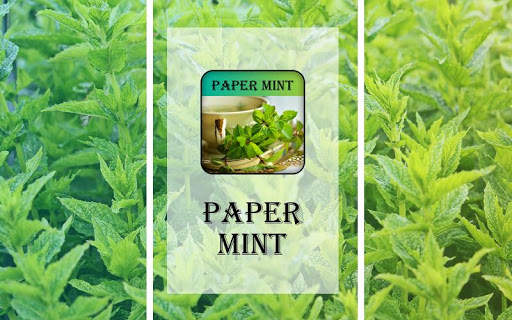 Papermint screenshot 1