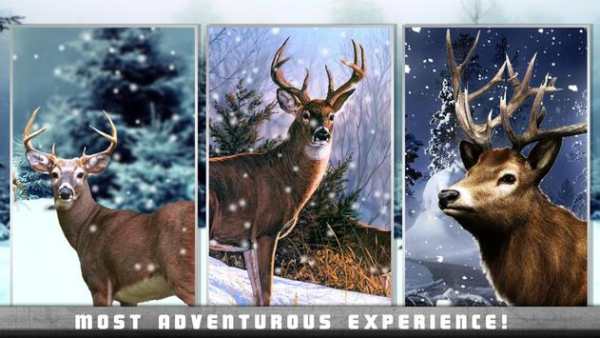 Deer Hunter Snow Season 2016 screenshot 7