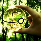 Free Pokeball Pokemon GO Tips 1.00.03