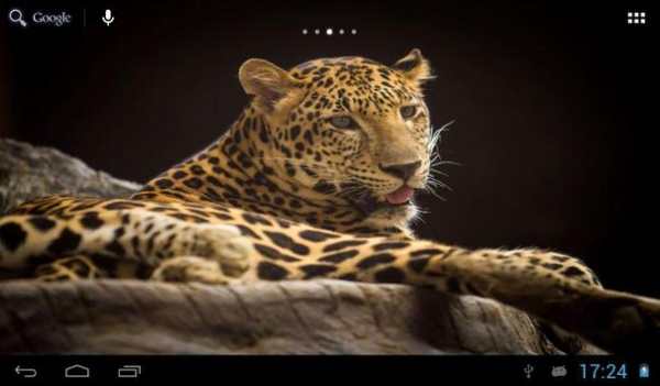 Jaguars Wallpapers screenshot 6