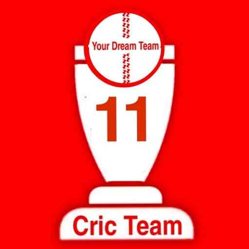 Cric Team 11 : Live Score 11.4