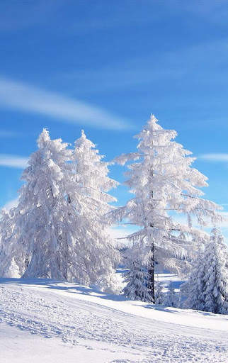 Winter Wallpaper screenshot 1