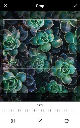 Grafo Photo Studio screenshot 4