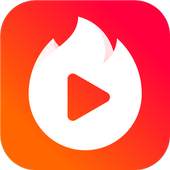 Vigo Video 10.6.0