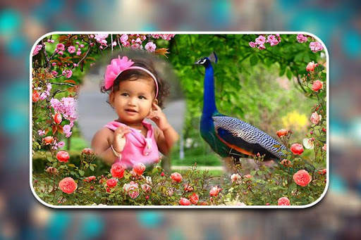 Peacock Photo Frames screenshot 5