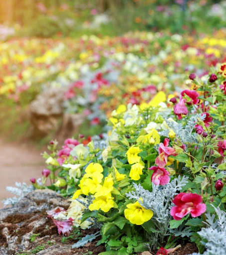 Beautiful Spring Wallpaper screenshot 4