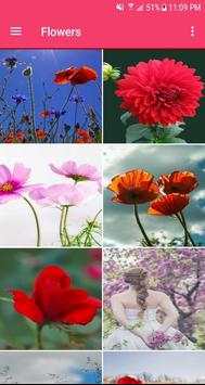 Flower Wallpapers 4 تصوير الشاشة
