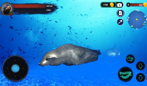 The Sea Lion 16 تصوير الشاشة