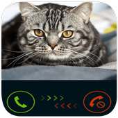 fake call from cat on 9Apps