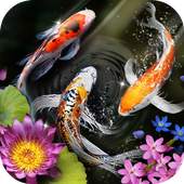 Lively Koi Launcher - HD Live Wallpapers, Themes 1.3.3