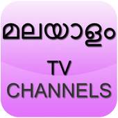 Live TV Malayalam Channels 6.2