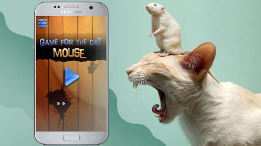 Game for cats Mouse screenshot 3