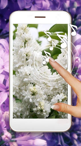 Lilac Flower Magic Live Wallpaper screenshot 1