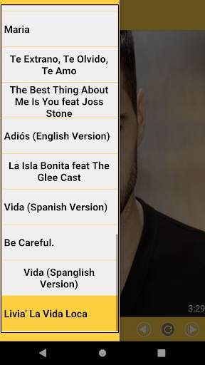 Ricky Martin Best Music(Offline) & Ringstones screenshot 4