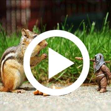 Funny Videos Laugh screenshot 2