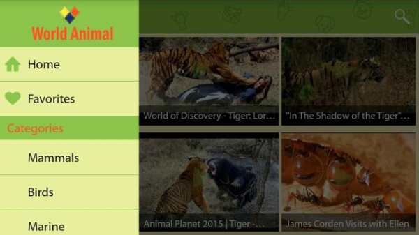 Animal Videos screenshot 2
