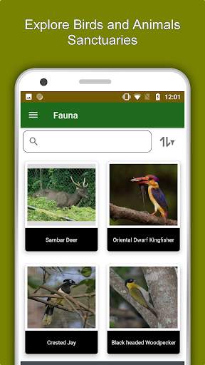 Yangon Travel & Explore, Offline City Guide screenshot 5
