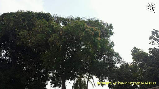 DateCam screenshot 4