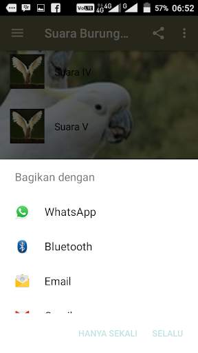 Suara Burung Kakatua Offline screenshot 5
