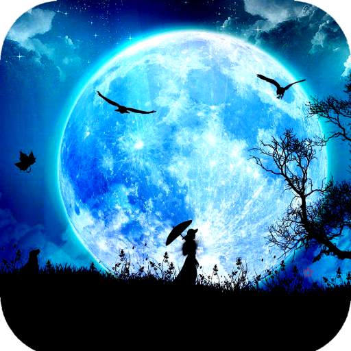 Moonlight Wallpaper 4K 1.03