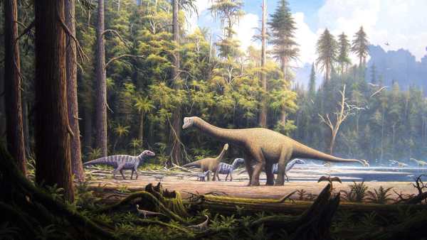 Dinosaur Live Wallpaper (Wallpapers & Backgrounds) screenshot 4
