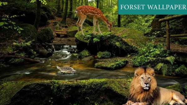 Forest 3D Live Wallpaper screenshot 2