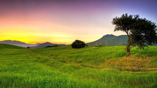 Summer Wallpapers : backgrounds hd screenshot 20