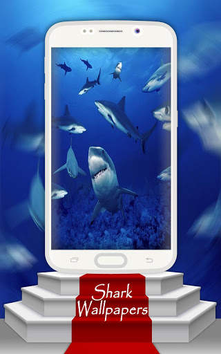 Shark Wallpapers screenshot 1