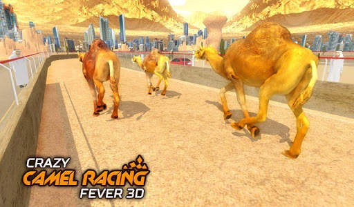 Crazy Camel Racing Fever 3D: Desert Race Simulator screenshot 5