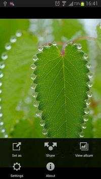 Photo Saver for Facebook скриншот 1