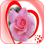 Beautiful Romantic Flowers And Roses иконка