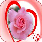 Beautiful Romantic Flowers And Roses on 9Apps