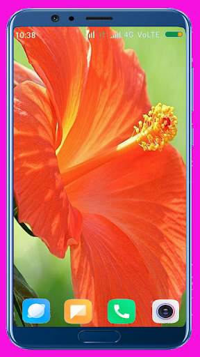 Hibiscus Flower Wallpaper Best 4K screenshot 11