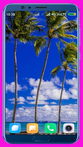 Palm Tree Wallpaper screenshot 1