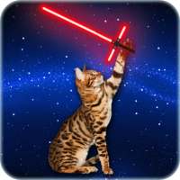 Neon Laser - Cat Toy